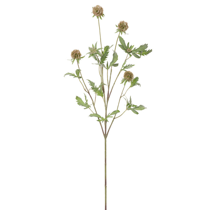 37" Scabiosa Silk Flower Stem -Tan/Green (pack of 12) - FSS762-TN/GR
