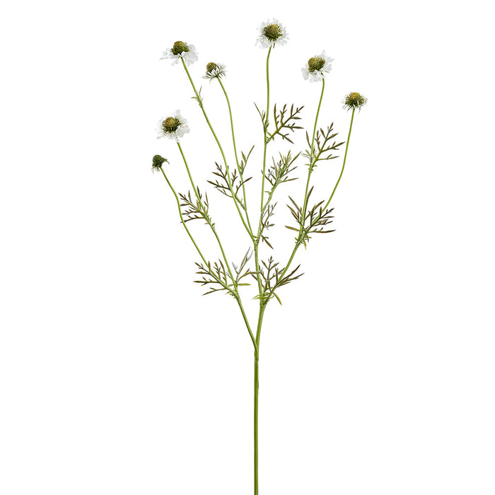 35" Scabiosa Silk Flower Stem -White (Pack of 12) - FSS795-WH