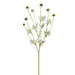 35" Scabiosa Silk Flower Stem -White (Pack of 12) - FSS795-WH