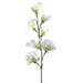 22" Silk Sweet Pea Flower Spray -Cream (pack of 12) - FSS831-CR