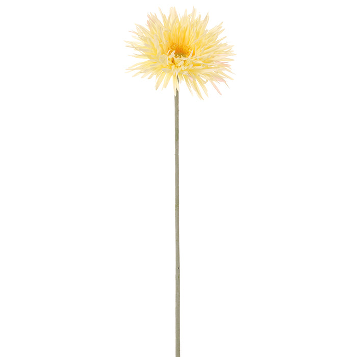 26" Silk Spider Gerbera Daisy Flower Stem -Light Yellow (Pack of 12) - FSS859-YE/LT