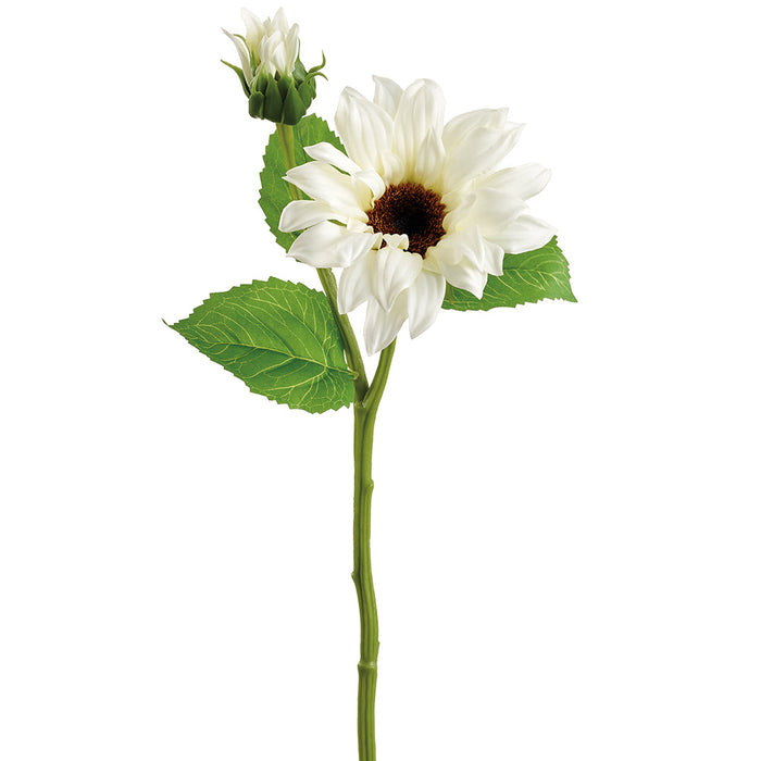 14" Sunflower Silk Flower Stem -White (Pack of 12) - FSS932-WH
