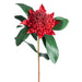 27" Silk Waratah Telopea Flower Stem -Red (pack of 12) - FST042-RE