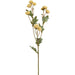 24.5" Tansy Artificial Flower Stem -Ivory (pack of 12) - FST105-IV