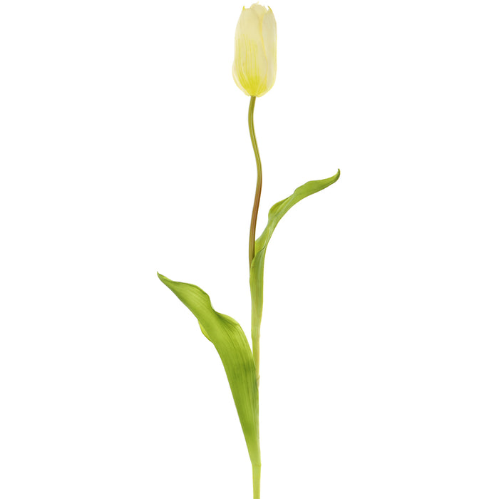 18.75" Silk French Tulip Flower Stem -White (pack of 12) - FST141-WH