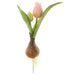 8" Silk Tulip Flower Stem With Bulb -Soft Pink (pack of 12) - FST142-PK/SO