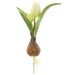 8" Silk Tulip Flower Stem With Bulb -White (pack of 12) - FST142-WH