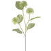 26" Artificial Globe Thistle Flower Stem -Green (pack of 12) - FST143-GR