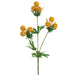 18" Artificial Globe Thistle Stem -Mustard (pack of 12) - FST168-MD