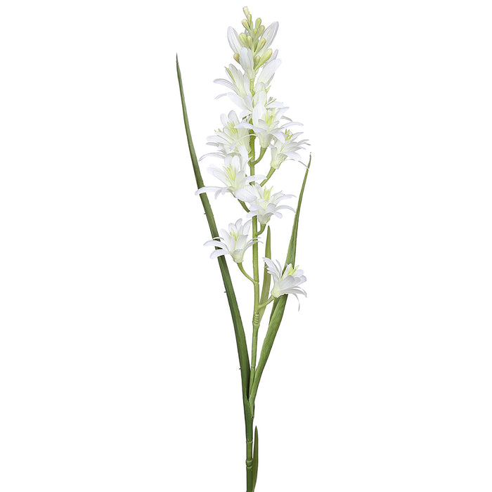 30" Silk Tuberose Flower Stem -Cream (pack of 12) - FST173-CR