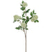 35" Globe Thistle Artificial Flower Stem -Cream/Green (Pack of 6) - FST180-CR/GR