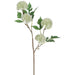 22" Globe Thistle Artificial Flower Stem -Cream/Green (Pack of 12) - FST182-CR/GR