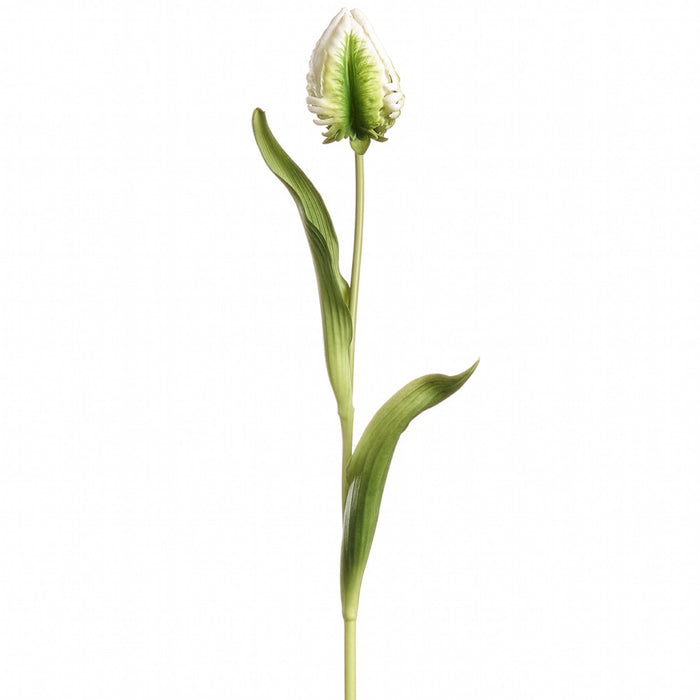 20.5" Real Touch Tulip Bud Silk Flower Stem -Cream/Green (Pack of 12) - FST245-CR/GR