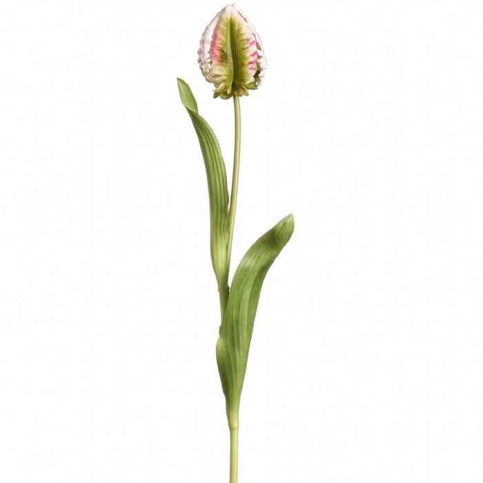 20.5" Real Touch Tulip Bud Silk Flower Stem -White/Boysenberry (Pack of 12) - FST245-WH/BB