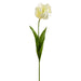 26" Silk Parrot Tulip Flower Stem -Cream (pack of 12) - FST255-CR