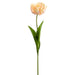 26" Silk Parrot Tulip Flower Stem -Soft Pink (pack of 12) - FST255-PK/SO