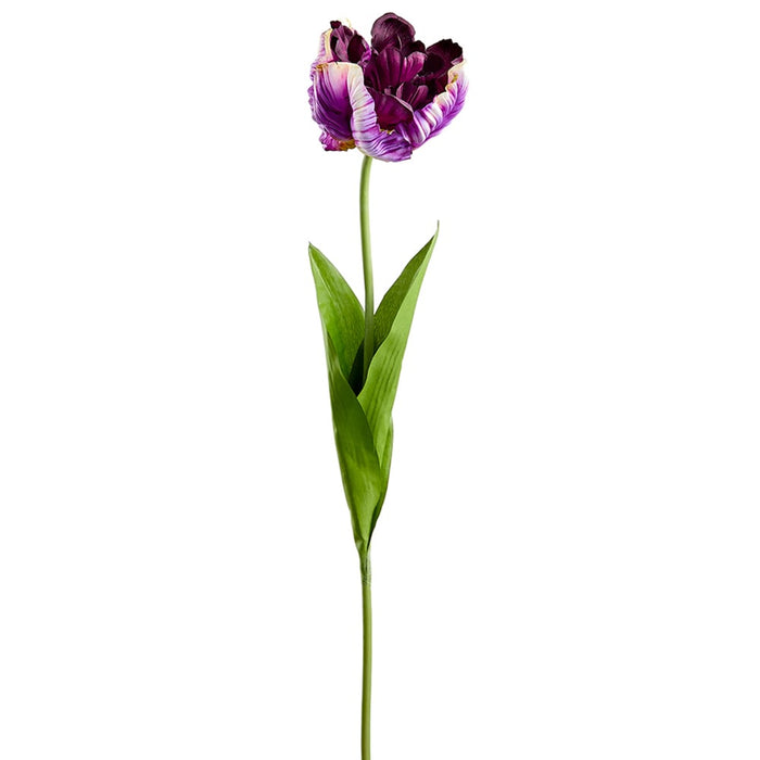 26" Silk Parrot Tulip Flower Stem -Purple (pack of 12) - FST255-PU