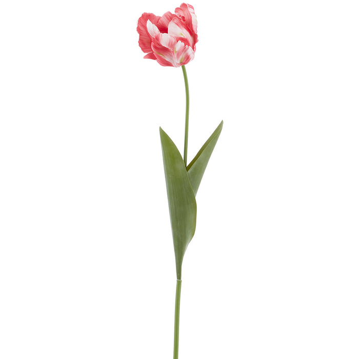 26.5" Real Touch Parrot Tulip Silk Flower Stem -Red (Pack of 12) - FST280-RE