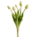 18" Tulip Silk Flower Stem Bundle -Cream (pack of 6) - FST316-CR