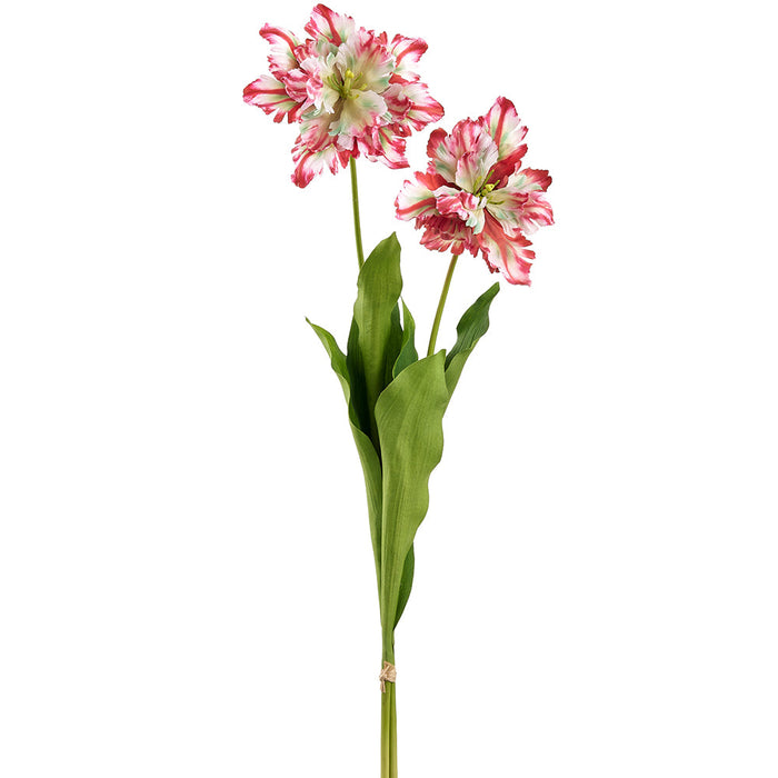30.5" Parrot Tulip Silk Flower Stem Bundle -Cranberry/Green (Pack of 12) - FST356-CB/GR
