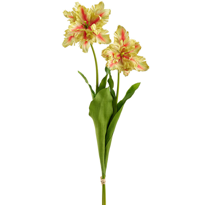 30.5" Parrot Tulip Silk Flower Stem Bundle -Yellow/Orange (Pack of 12) - FST356-YE/OR