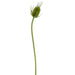 30" Artificial Wild Teasel Stem -Green (pack of 12) - FST388-GR