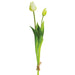 18.5" Tulip Silk Flower Stem Bundle -White (pack of 12) - FST427-WH