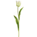 20" Real Touch Tulip Silk Flower Stem -Cream/Green (Pack of 12) - FST434-CR/GR