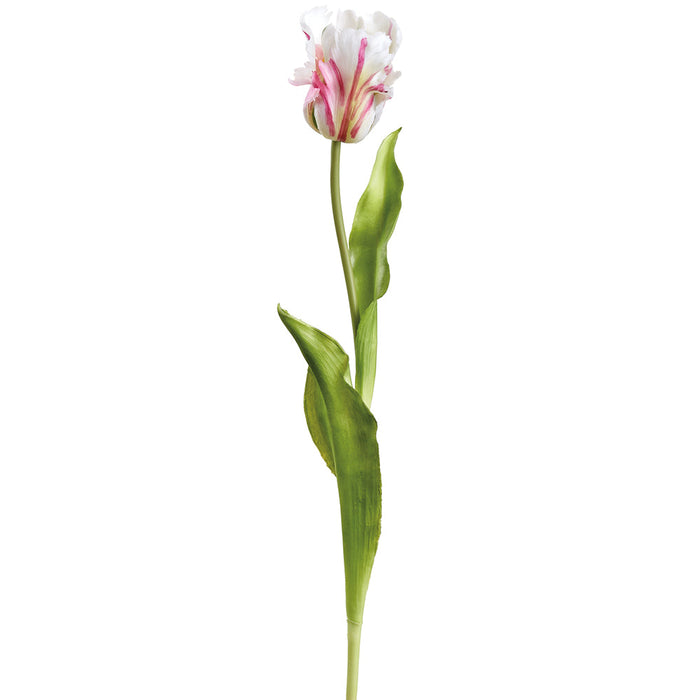 20" Real Touch Tulip Silk Flower Stem -White/Boysenberry (Pack of 12) - FST434-WH/BB