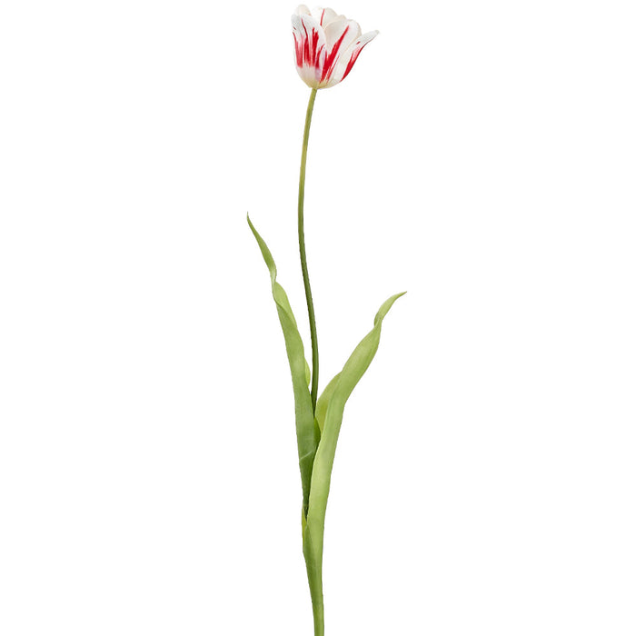 28" Tulip Silk Flower Stem -White/Red (Pack of 12) - FST503-WH/RE