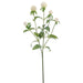 25.5" Globe Thistle Silk Flower Stem -Cream (Pack of 12) - FST515-CR