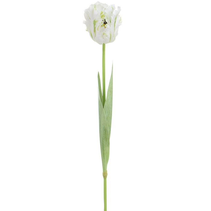 27" Parrot Tulip Silk Flower Stem -White/Green (Pack of 12) - FST550-WH/GR