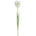 27" Parrot Tulip Silk Flower Stem -White/Green (Pack of 12) - FST550-WH/GR