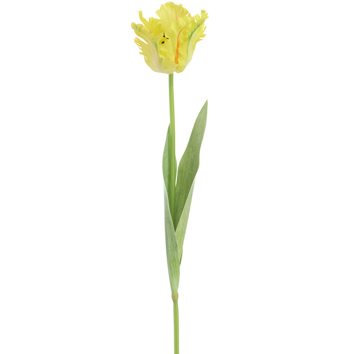27" Parrot Tulip Silk Flower Stem -Yellow (Pack of 12) - FST550-YE
