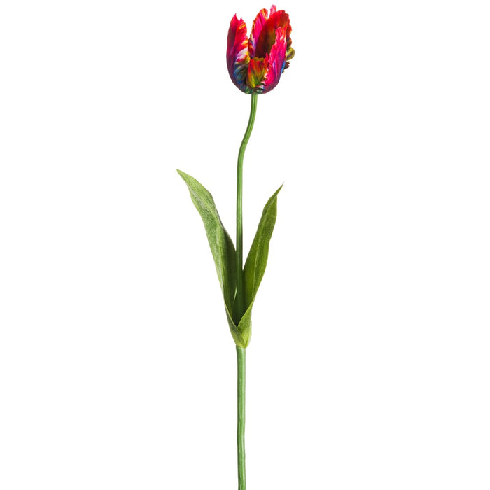25" Silk Parrot Tulip Flower Stem -Beauty/Blue (pack of 12) - FST718-BT/BL