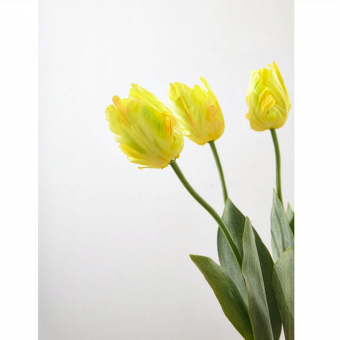 25" Silk Parrot Tulip Flower Stem -Yellow (Pack of 12) - FST718-YE