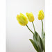 25" Silk Parrot Tulip Flower Stem -Yellow (Pack of 12) - FST718-YE