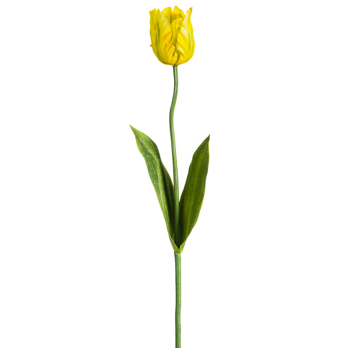 25" Silk Parrot Tulip Flower Stem -Yellow (pack of 12) - FST718-YE