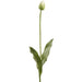 38" Tulip Silk Flower Bud Stem -Cream/Green (Pack of 12) - FST757-CR/GR