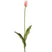 38" Tulip Silk Flower Bud Stem -Peach (Pack of 12) - FST757-PE