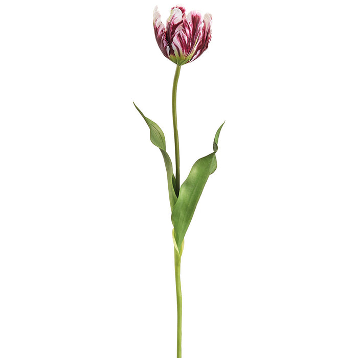25" Tulip Silk Flower Stem -Burgundy/White (Pack of 12) - FST917-BU/WH