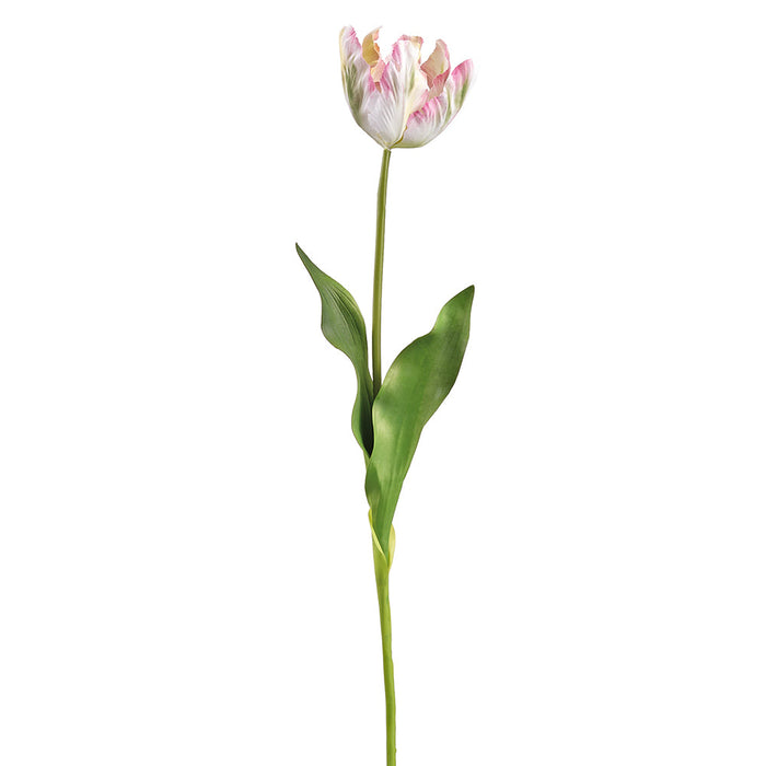 25" Tulip Silk Flower Stem -Cream/Pink (Pack of 12) - FST917-CR/PK