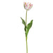 25" Tulip Silk Flower Stem -Cream/Pink (Pack of 12) - FST917-CR/PK