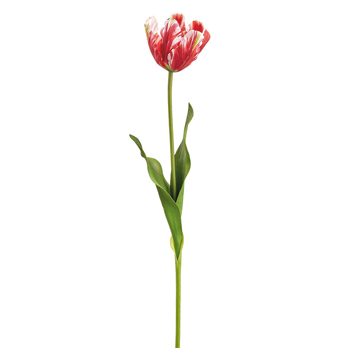 25" Tulip Silk Flower Stem -Red/White (Pack of 12) - FST917-RE/WH