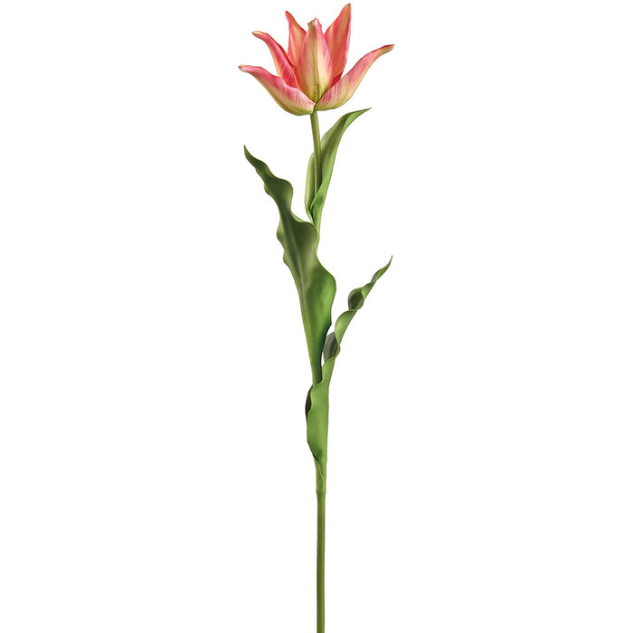 28" Tulip Silk Flower Stem -Beauty/Green (Pack of 12) - FST973-BT/GR