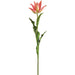 28" Tulip Silk Flower Stem -Beauty/Green (Pack of 12) - FST973-BT/GR