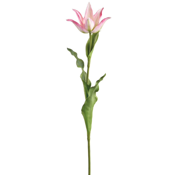 28" Tulip Silk Flower Stem -Cream/Pink (Pack of 12) - FST973-CR/PK