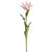 28" Tulip Silk Flower Stem -Cream/Pink (Pack of 12) - FST973-CR/PK