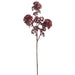 29.5" Artificial Viburnum Flower Stem -Burgundy (Pack of 12) - FSV003-BU