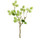14" Mini Silk Viburnum Flower Stem -Green (pack of 12) - FSV223-GR